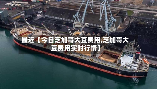 最近【今日芝加哥大豆费用,芝加哥大豆费用实时行情】-第3张图片