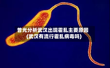 曾光分析武汉出现霍乱主要原因(武汉有流行霍乱病毒吗)-第2张图片