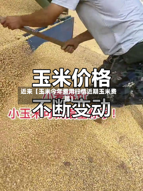 近来【玉米今年费用行情近期玉米费用】