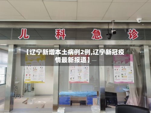 【辽宁新增本土病例2例,辽宁新冠疫情最新报道】