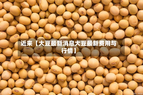 近来【大豆最新消息大豆最新费用与行情】-第2张图片