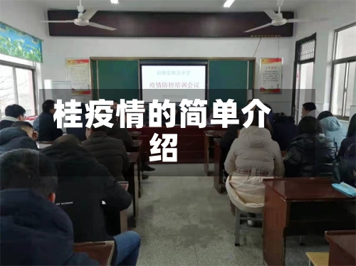 桂疫情的简单介绍