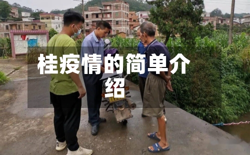 桂疫情的简单介绍-第2张图片