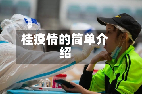 桂疫情的简单介绍-第3张图片