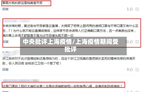 中央批评上海疫情/上海疫情期间受批评