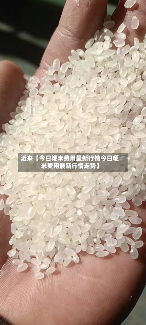 近来【今日粳米费用最新行情今日粳米费用最新行情走势】