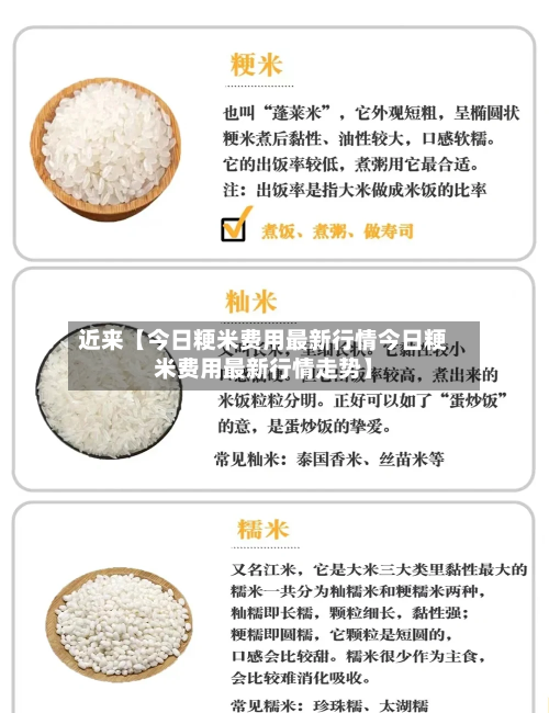 近来【今日粳米费用最新行情今日粳米费用最新行情走势】-第2张图片
