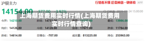 上海期货费用实时行情(上海期货费用实时行情查询)
