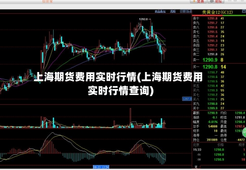 上海期货费用实时行情(上海期货费用实时行情查询)-第3张图片