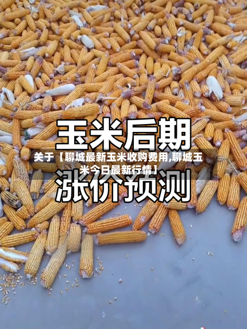 关于【聊城最新玉米收购费用,聊城玉米今日最新行情】