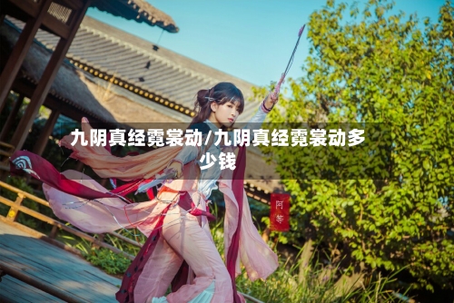 九阴真经霓裳动/九阴真经霓裳动多少钱