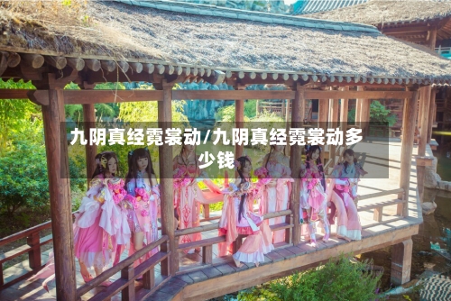 九阴真经霓裳动/九阴真经霓裳动多少钱-第2张图片