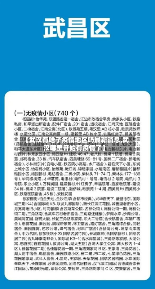 【武汉有啥子疫情地区吗最新消息,武汉哪里开始有疫情了】-第3张图片