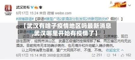 【武汉有啥子疫情地区吗最新消息,武汉哪里开始有疫情了】