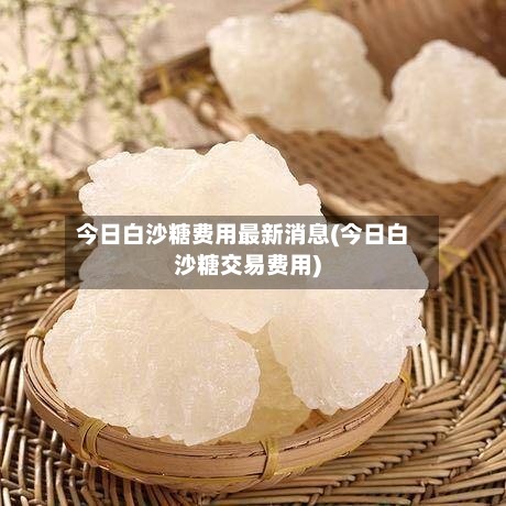 今日白沙糖费用最新消息(今日白沙糖交易费用)