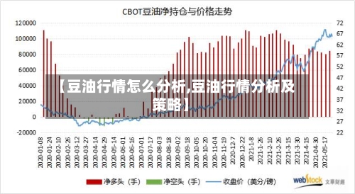 【豆油行情怎么分析,豆油行情分析及策略】-第3张图片