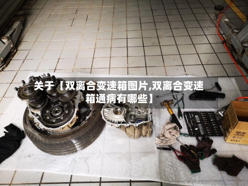 关于【双离合变速箱图片,双离合变速箱通病有哪些】
