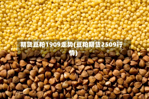 期货豆粕1909走势(豆粕期货2509行情)-第3张图片