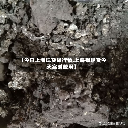 【今日上海现货锡行情,上海锡现货今天实时费用】-第2张图片
