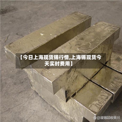 【今日上海现货锡行情,上海锡现货今天实时费用】-第3张图片