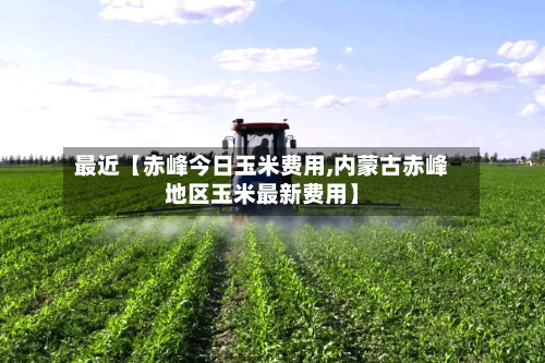 最近【赤峰今日玉米费用,内蒙古赤峰地区玉米最新费用】