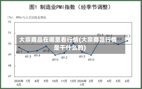 大宗商品在哪里看行情(大宗商品行情是干什么的)