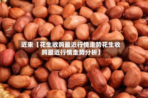 近来【花生收购最近行情走势花生收购最近行情走势分析】-第3张图片
