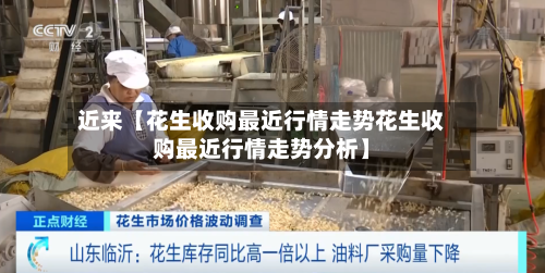 近来【花生收购最近行情走势花生收购最近行情走势分析】-第2张图片
