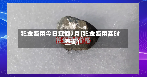 钯金费用今日查询7月(钯金费用实时查询)-第2张图片