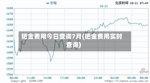 钯金费用今日查询7月(钯金费用实时查询)