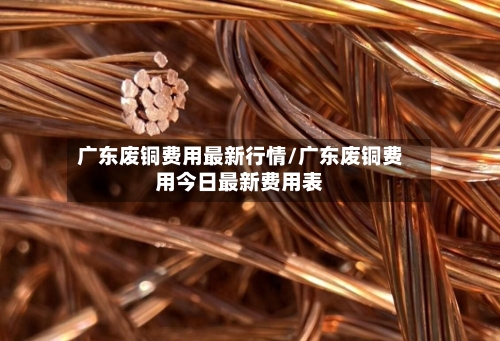 广东废铜费用最新行情/广东废铜费用今日最新费用表-第2张图片