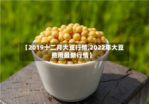 【2019十二月大豆行情,2022年大豆费用最新行情】-第3张图片