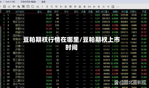 豆粕期权行情在哪里/豆粕期权上市时间