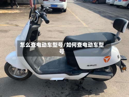 怎么查电动车型号/如何查电动车型号-第3张图片