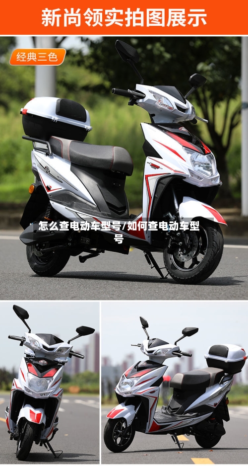 怎么查电动车型号/如何查电动车型号-第2张图片