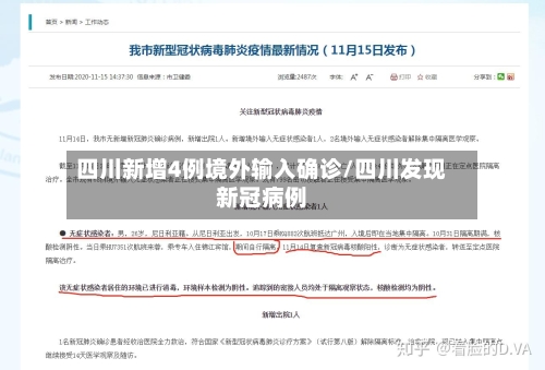 四川新增4例境外输入确诊/四川发现新冠病例