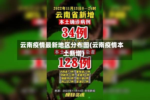 云南疫情最新地区分布图(云南疫情本土新增)