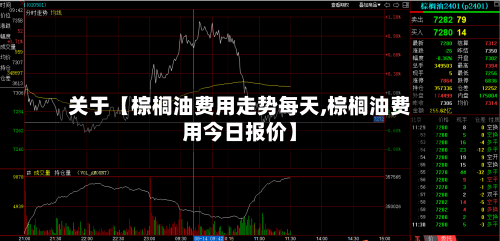 关于【棕榈油费用走势每天,棕榈油费用今日报价】