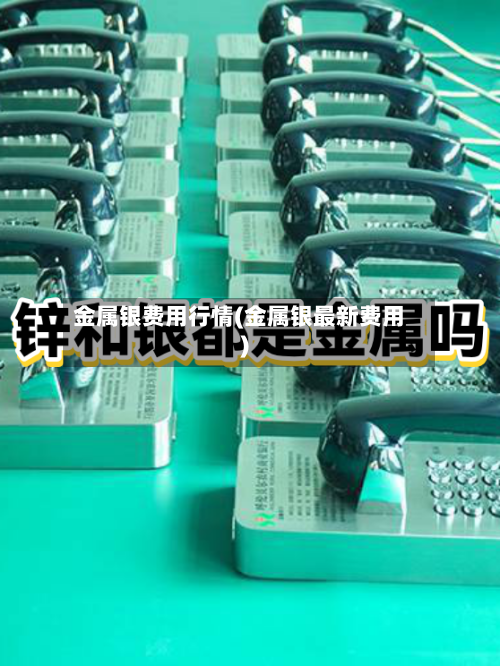 金属银费用行情(金属银最新费用)