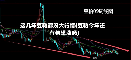 这几年豆粕都没大行情(豆粕今年还有希望涨吗)-第2张图片