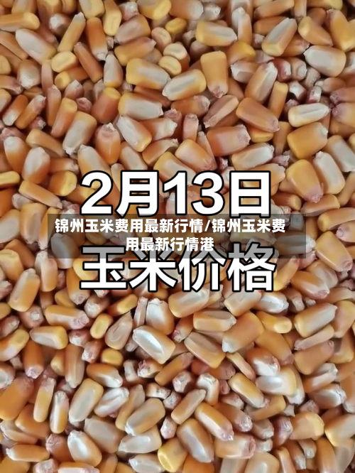 锦州玉米费用最新行情/锦州玉米费用最新行情港