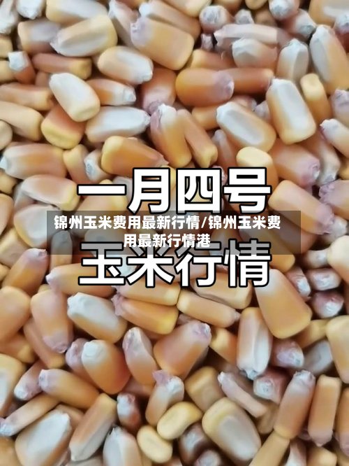 锦州玉米费用最新行情/锦州玉米费用最新行情港-第2张图片