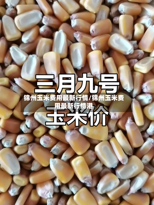 锦州玉米费用最新行情/锦州玉米费用最新行情港-第3张图片