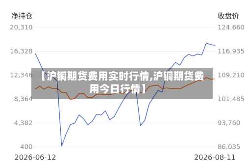 【沪铜期货费用实时行情,沪铜期货费用今日行情】-第3张图片
