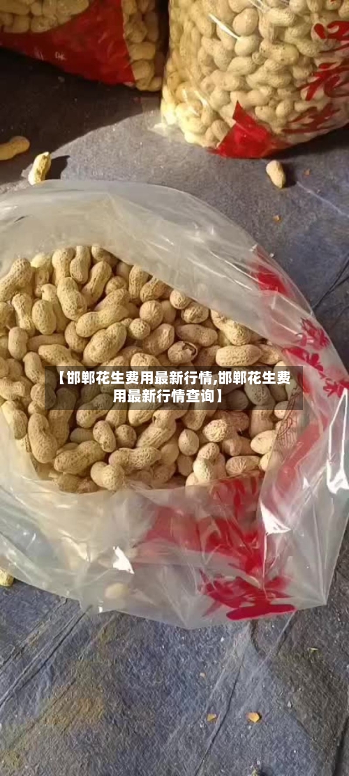 【邯郸花生费用最新行情,邯郸花生费用最新行情查询】-第2张图片