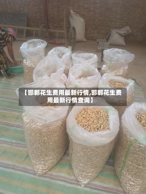 【邯郸花生费用最新行情,邯郸花生费用最新行情查询】