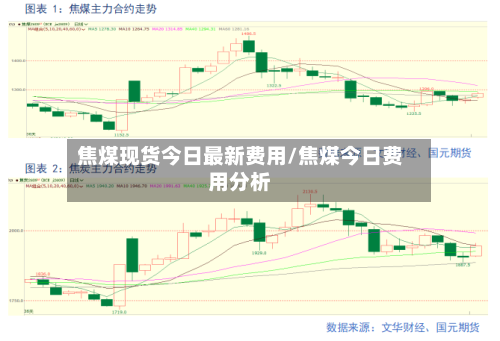 焦煤现货今日最新费用/焦煤今日费用分析-第2张图片