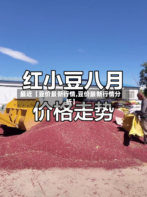最近【豆价最新行情,豆价最新行情分析】-第3张图片