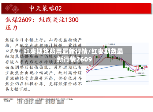 红枣期货费用最新行情/红枣期货最新行情2609-第3张图片