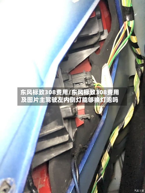 东风标致308费用/东风标致308费用及图片主驾驶左内侧灯能够换灯泡吗-第3张图片